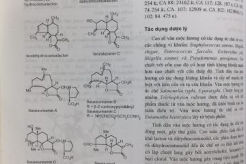 Nghiên cứu chứng minh tác dụng của Vân Mộc Hương