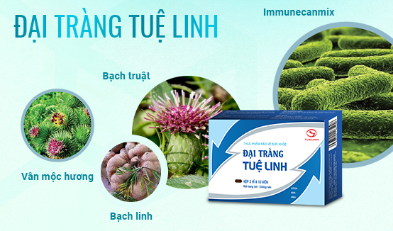 #dai-trang-tue-linh